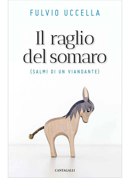 IL RAGLIO DEL SOMARO. SALMI DI UN VIANDANTE