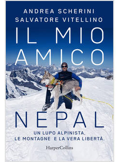 IL MIO AMICO NEPAL UN LUPO ALPINISTA LE MONTAGNE E LA VERA LIBERTA' 