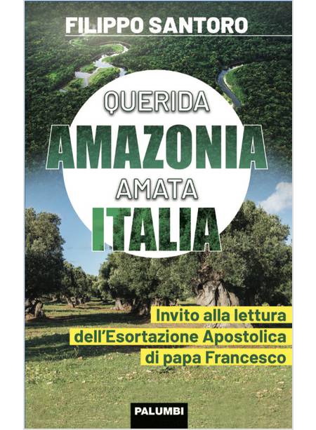 QUERIDA AMAZONIA AMATA ITALIA. INVITO ALLA LETTURA DELL'ESORTAZIONE APOSTOLICA