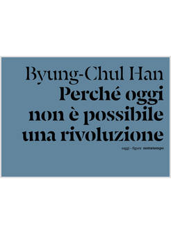 PERCHE' OGGI NON E' POSSIBILE UNA RIVOLUZIONE. SAGGI BREVI E INTERVISTE