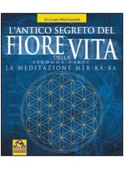 ANTICO SEGRETO DEL FIORE DELLA VITA (L') vol 2