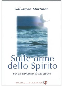 SULLE ORME DELLO SPIRITO