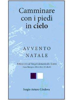 CAMMINARE CON I PIEDI IN CIELO. AVVENTO NATALE. RIFLESSIONI SUI VANGELI