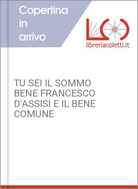 TU SEI IL SOMMO BENE FRANCESCO D'ASSISI E IL BENE COMUNE