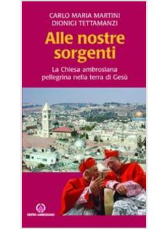 ALLE NOSTRE SORGENTI LA CHIESA AMBROSIANA PELLEGRINA NELLA TERRA DI GESU'