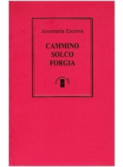 CAMMINO SOLCO FORGIA