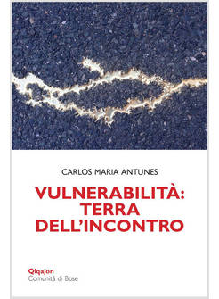 VULNERABILITA' TERRA DELL'INCONTRO