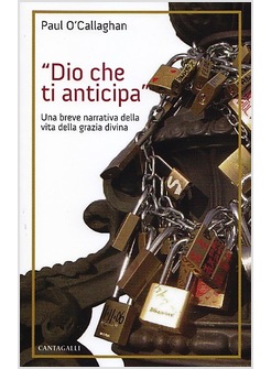 DIO CHE TI ANTICIPA UNA BREVE NARRAZIONE DELLA VITA DELLA GRAZIA DIVINA