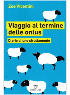 VIAGGIO AL TERMINE DELLE ONLUS. DIARIO DI UNO SFRUTTAMENTO