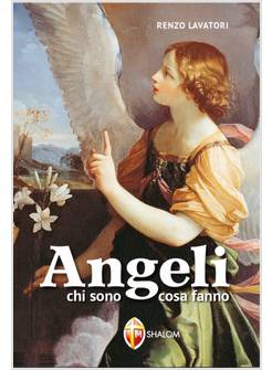 ANGELI. CHI SONO, COSA FANNO