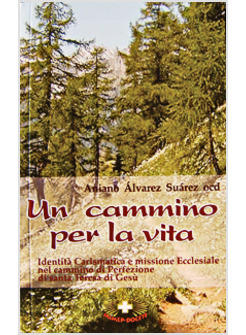 CAMMINO PER LA VITA. IDENTITA' CARISMATICA E MISSIONE ECCLESIALE NEL CAMMINO DI