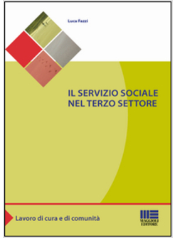 SERVIZIO SOCIALE NEL TERZO SETTORE (IL)