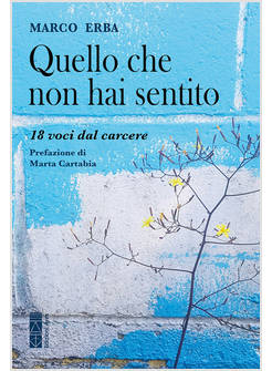QUELLO CHE NON HAI SENTITO 18 VOCI DAL CARCERE