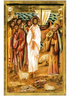 CINQUE PANI D'ORZO 2024