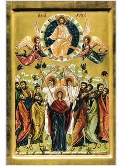 CINQUE PANI D'ORZO 2025