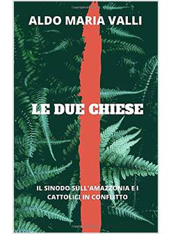LE DUE CHIESE: IL SINODO DELL'AMAZZONIA E I CATTOLICI IN CONFLITTO