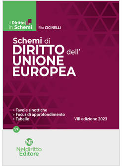 SCHEMI DI DIRITTO DELL'UNIONE EUROPEA VIII EDIZIONE