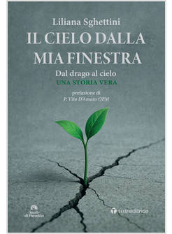 IL CIELO DALLA MIA FINESTRA