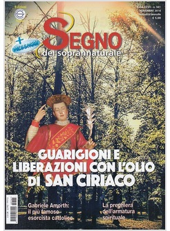 IL SEGNO DEL SOPRANNATURALE NOVEMBRE 2016